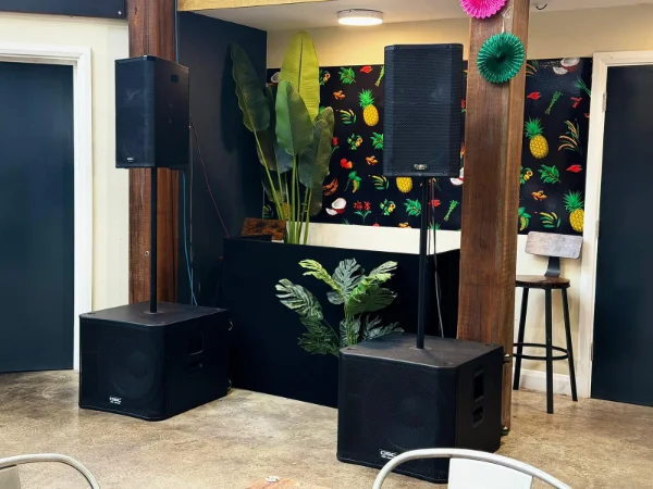 speakers at party